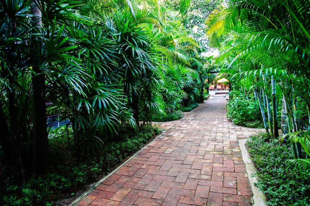 Baanpong Lodge San Kamphaeng Esterno foto